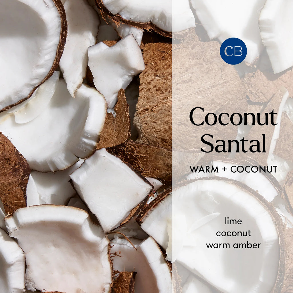 Capri Blue Artisan Coconut Santal  Reed Diffuser