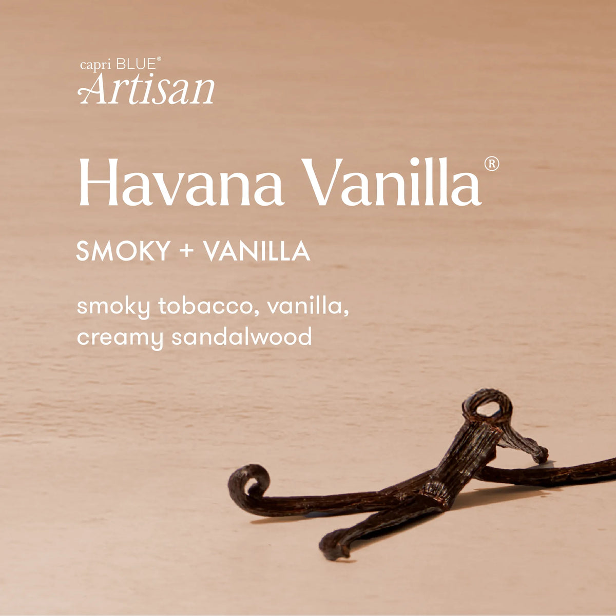 Capri Blue Havana Vanilla Terrazza Velluto Signature Candle 19oz